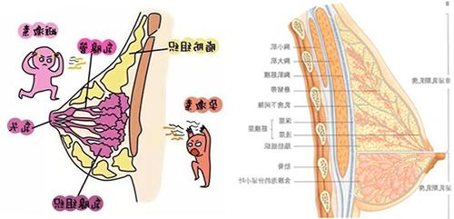 微信图片_20220310090417.jpg